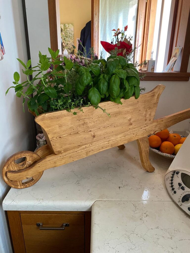 photo 2026 01 20 14 19 28